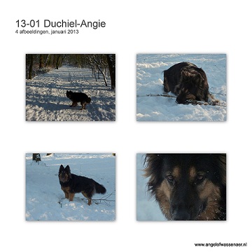 Prachtige sneeuwfoto's van Duchiël-Angie
